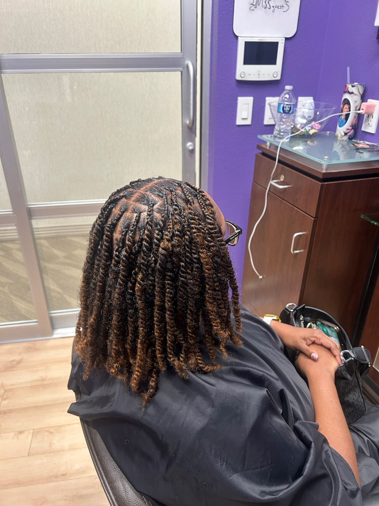Small Kinky Twist Bob