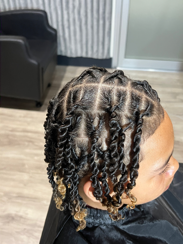 Starter Locs (Two Strand Twist) Med at Royal Crown Salon & Head Spa in Buffalo, NY