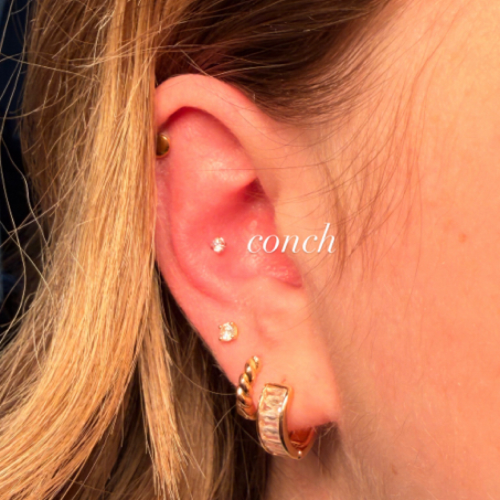 Conch at Tattoo Tech in Moraine, OH