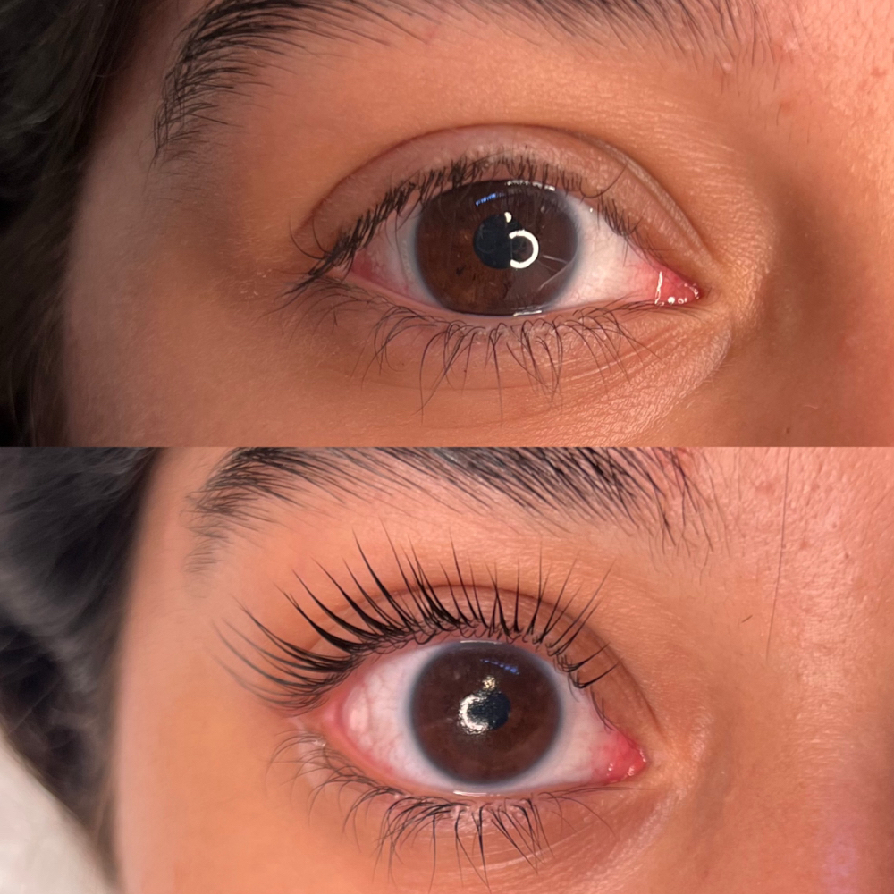 Korean Lash lift  + Tint (promo) at Rooted Skin in La Mesa, CA