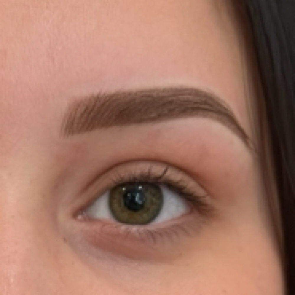 Brow Perfection Session - 8 Week at Alex @ Blade Babes Aesthetics in Hernando, MS