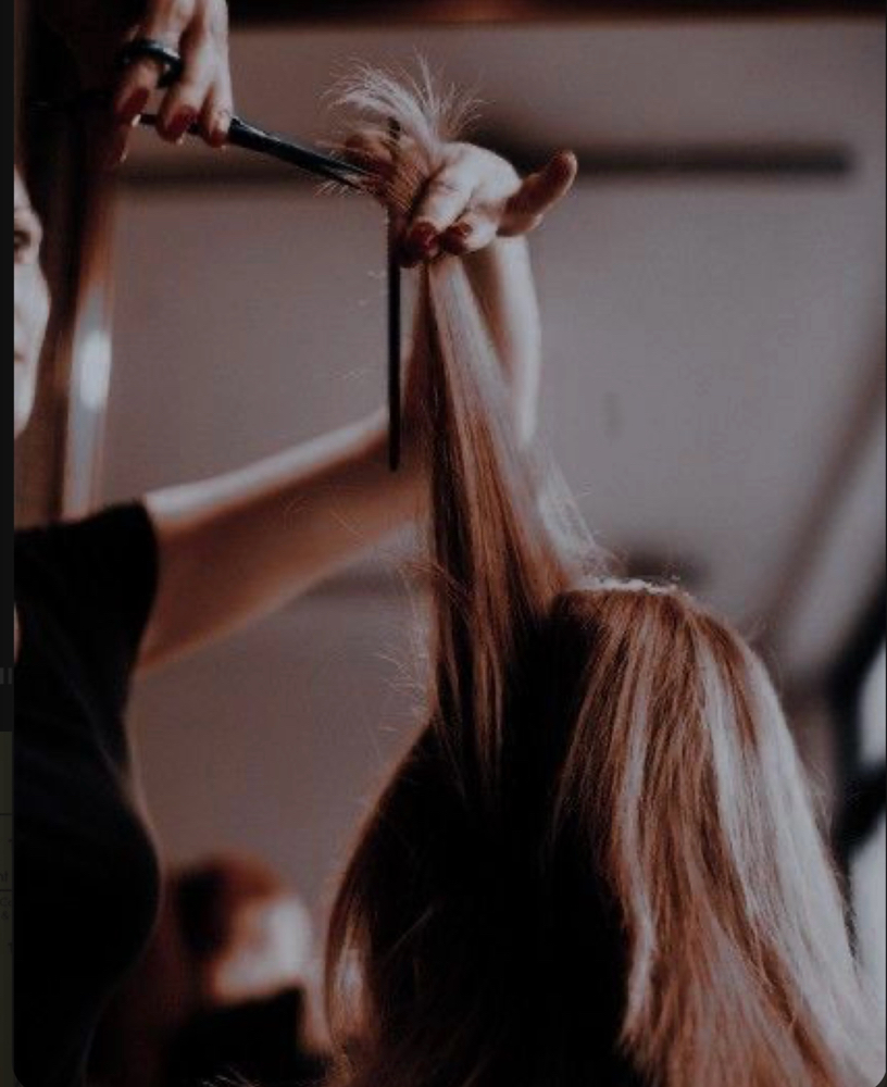 Woman’s Cut With Blow Dry Style at Exquisite Lengths by Amanda in New Lenox, IL