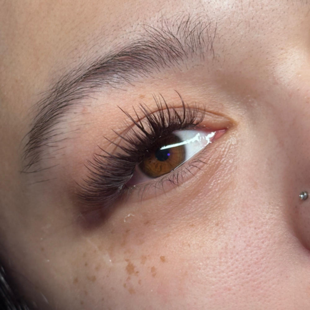 Lash Extension Fill-In at Blush & Bloom Beauty Loft in Evansville, IN