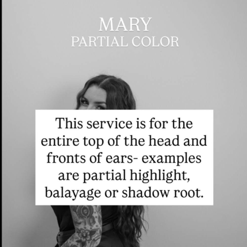 Partial Color(See Description)-Mary at Haven Beauty Lounge in Eugene, OR