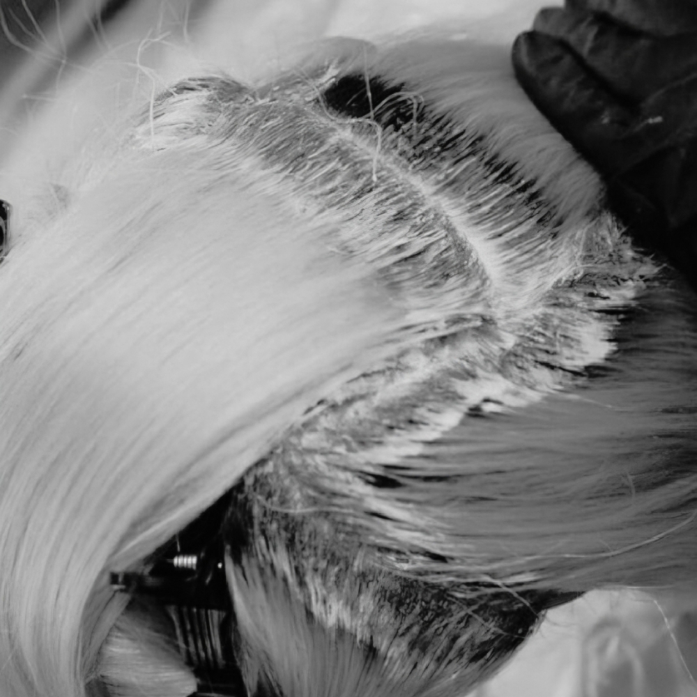 Root Touch Up & Blow Dry at ELOURA HAIR STUDIO in Escondido, CA