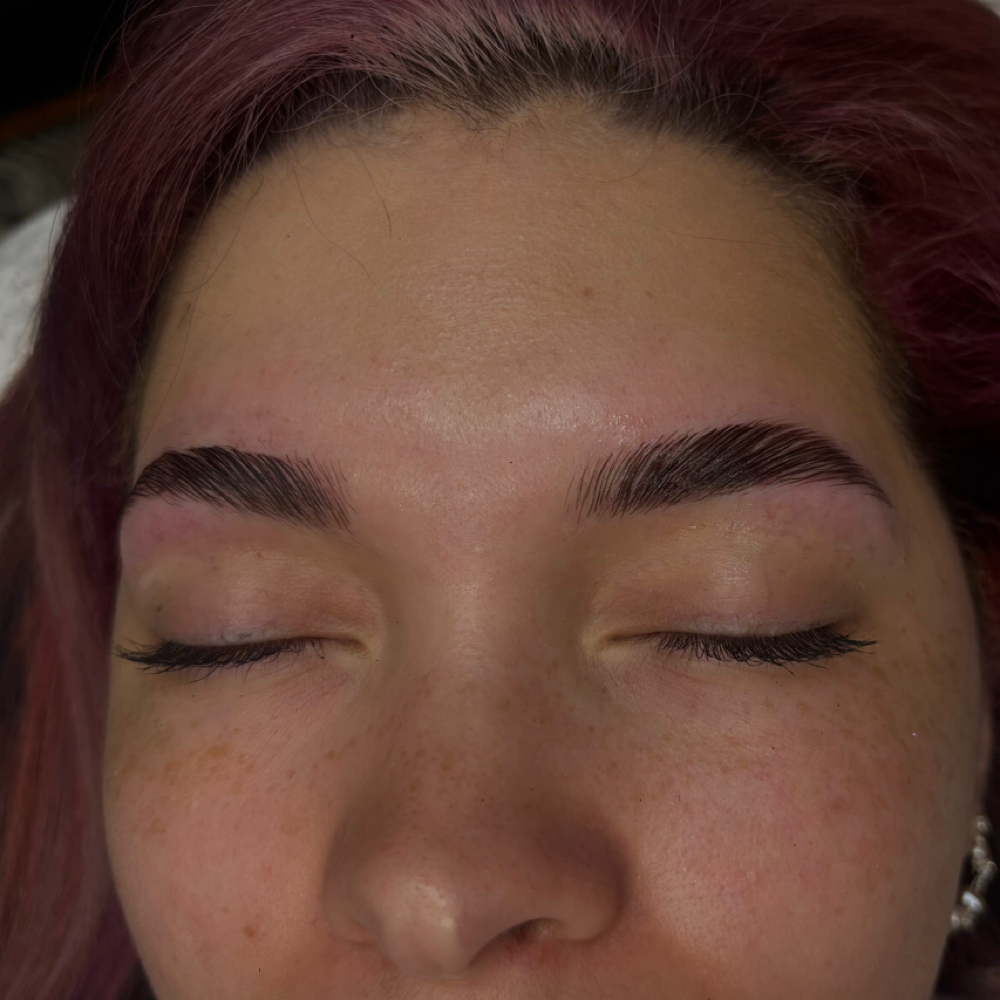 Bomb Brow Bundle (Lami, Wax, Tint) at Karly’s Esthetics in Roscommon, MI