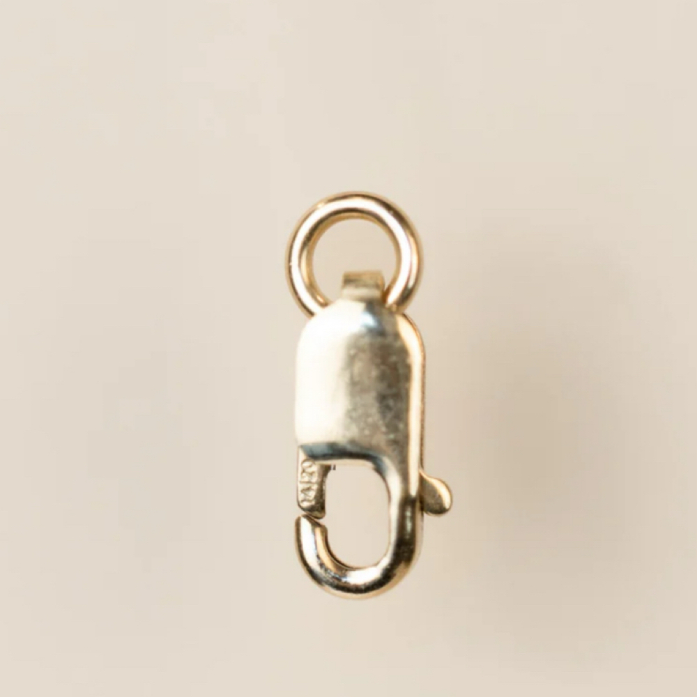 Clasp at Cheshire Chains in Green Forest, AR