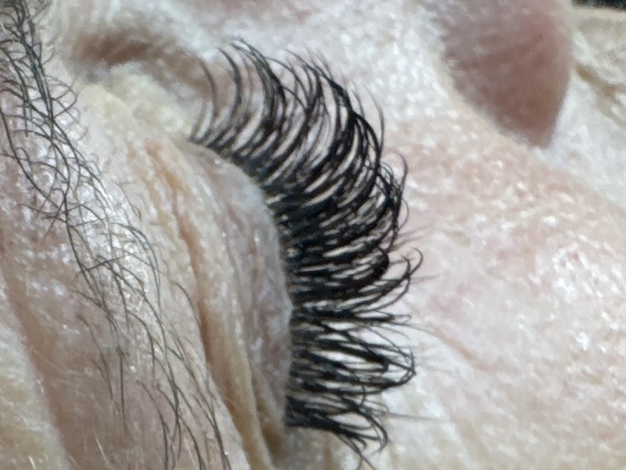 Natural Mink Lash Full Set