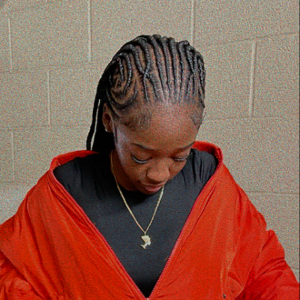 Tribal Braids at Empire Stylez Beauty & Barber Shop in Cookeville, TN