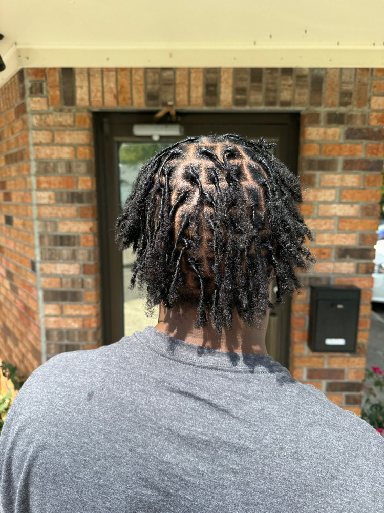Adult Starter Locs (coils)