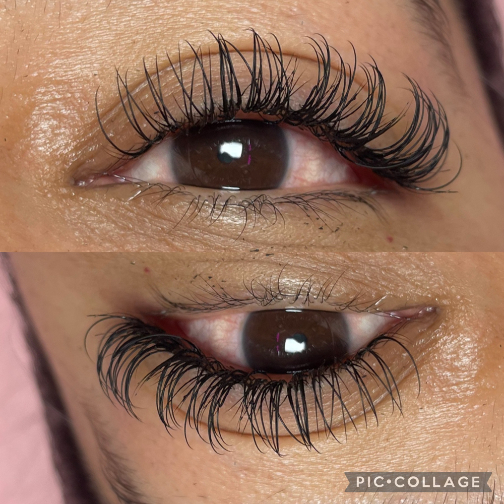 Wet Lash Set