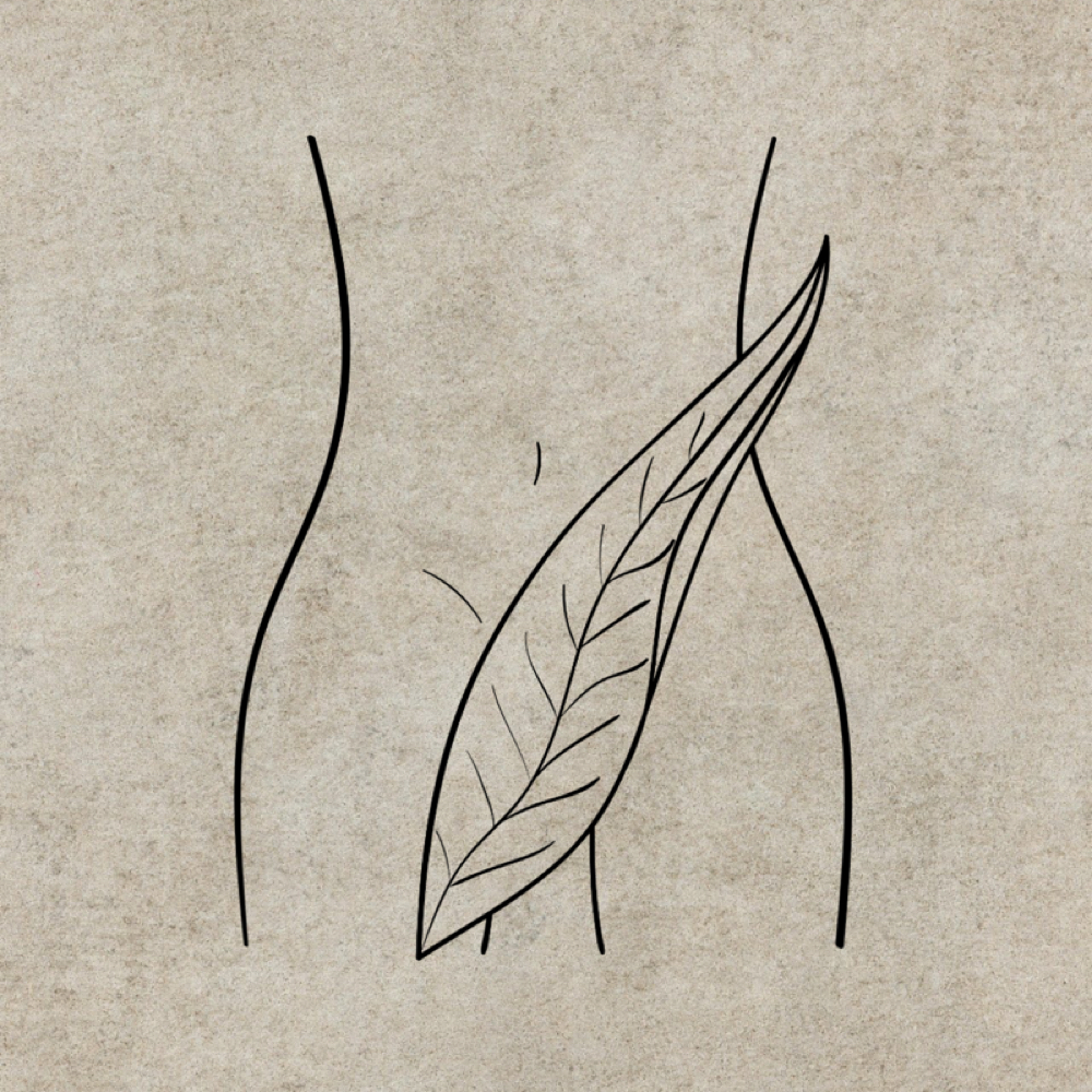 Brazilian at Wax Theory in Phoenix, AZ