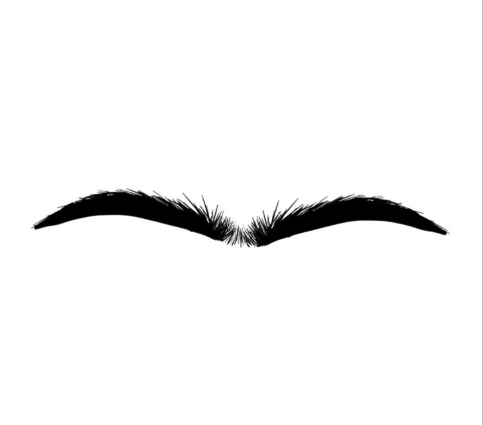 Middle Brow Wax