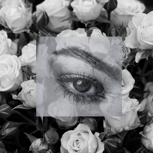 Total Lash And Brow Combo