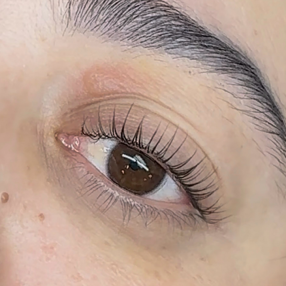Korean Lash Lift+ Tint at Lashhdripp in Redlands, CA