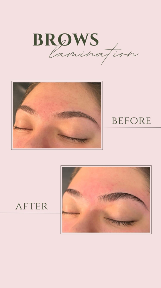 Eyebrow Lamination