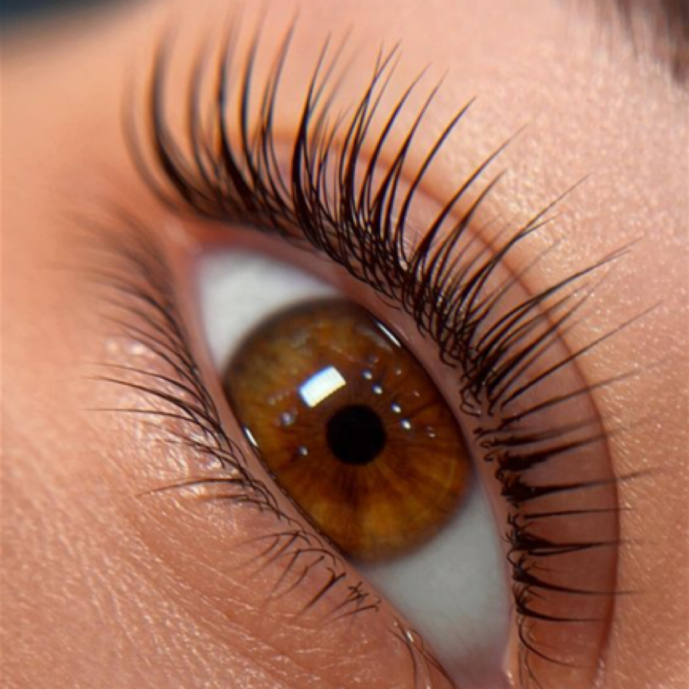 Lash Lift at Katie Beauty in Walnut Creek, CA