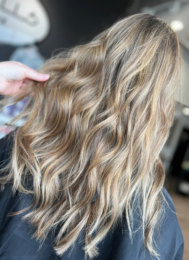 Base Color, Full Highlight + Cut