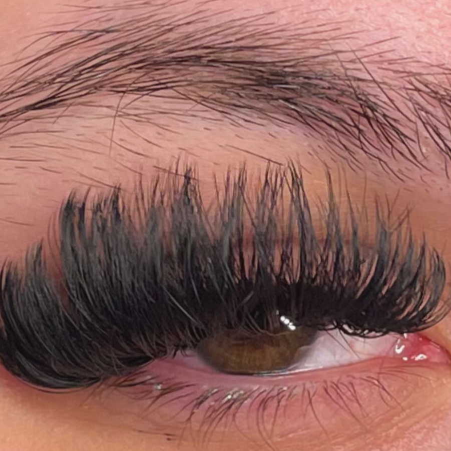 Mega-Volume Fill at Lotus Lashes & Brows in Cleveland Heights, OH
