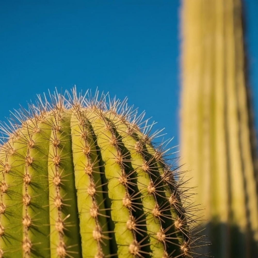 Legs - Lower Half at Upstream Beauty Ltd in Fort Collins, CO
