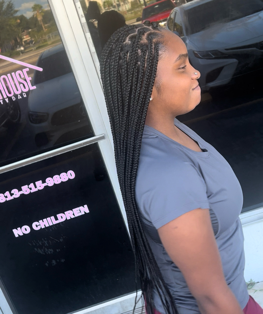 Medium Individual Braids (WL)