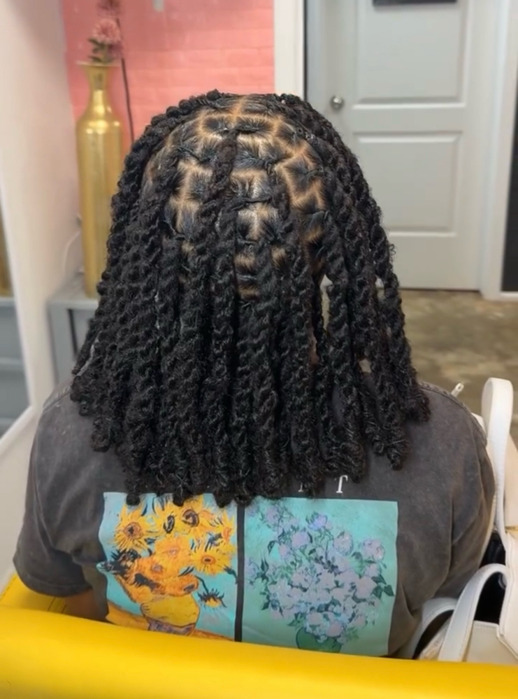 Retwist Two Strand Extensions