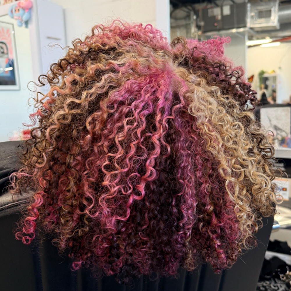 CREATIVE COLOR at TeeCutsHair in Tampa, FL
