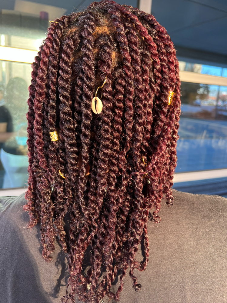 Shampoo & Medium Two Strand Twist