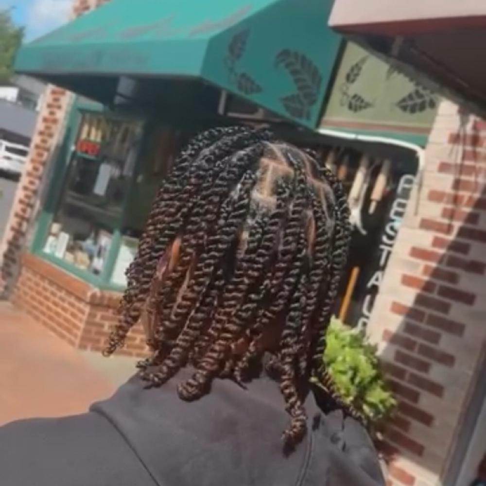 Medium Two Strand Twist (natural) at BraidsByLashaya in Tacoma, WA