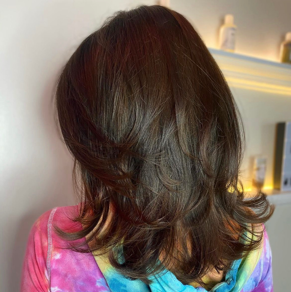 Shampoo Blow Dry-CLASSIC|No Cut
