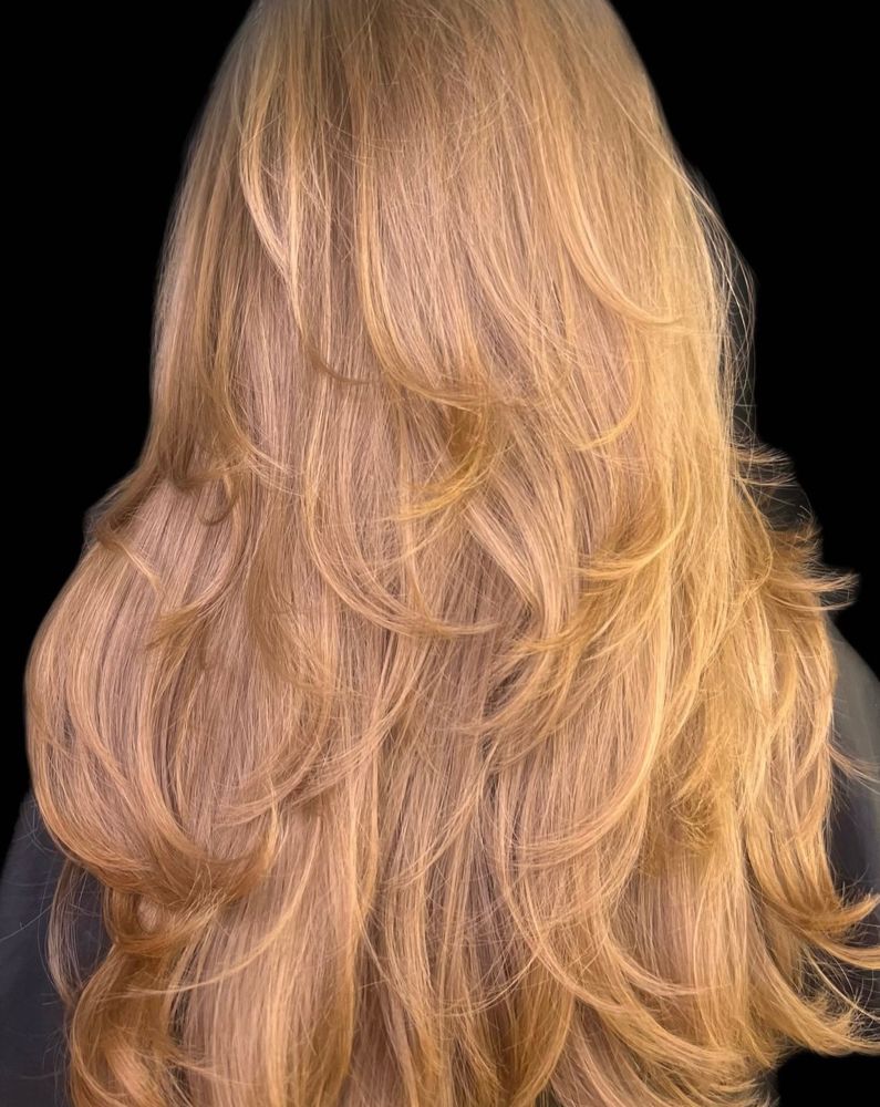 Shampoo Blow Dry-DELUXE| No Cut