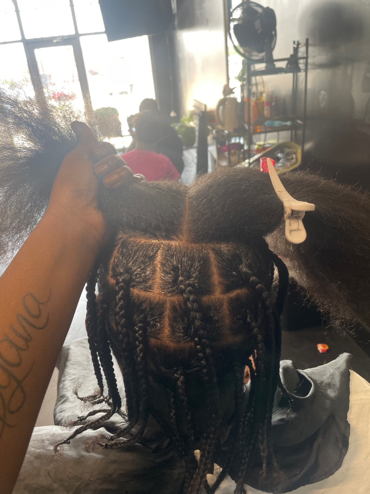 Men Style (Braids , 2 Strand Twist)