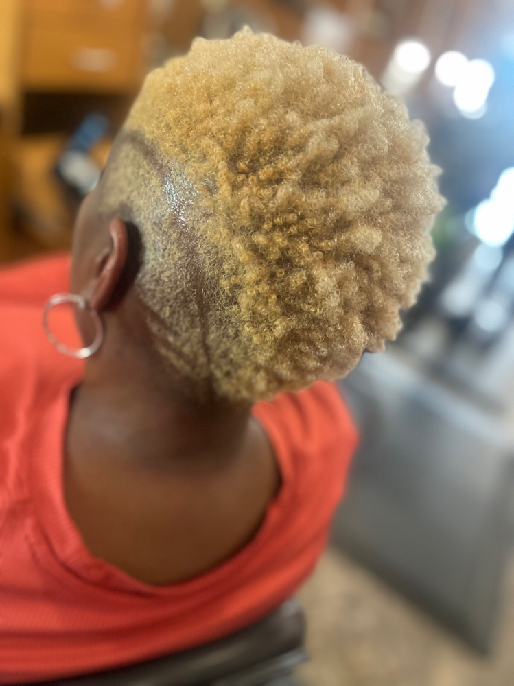 Color Short Hair at GraceHair in Memphis, TN