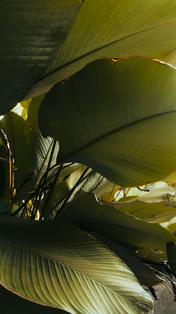 BOOTY CHEEKS at SLICKED in Lufkin, TX