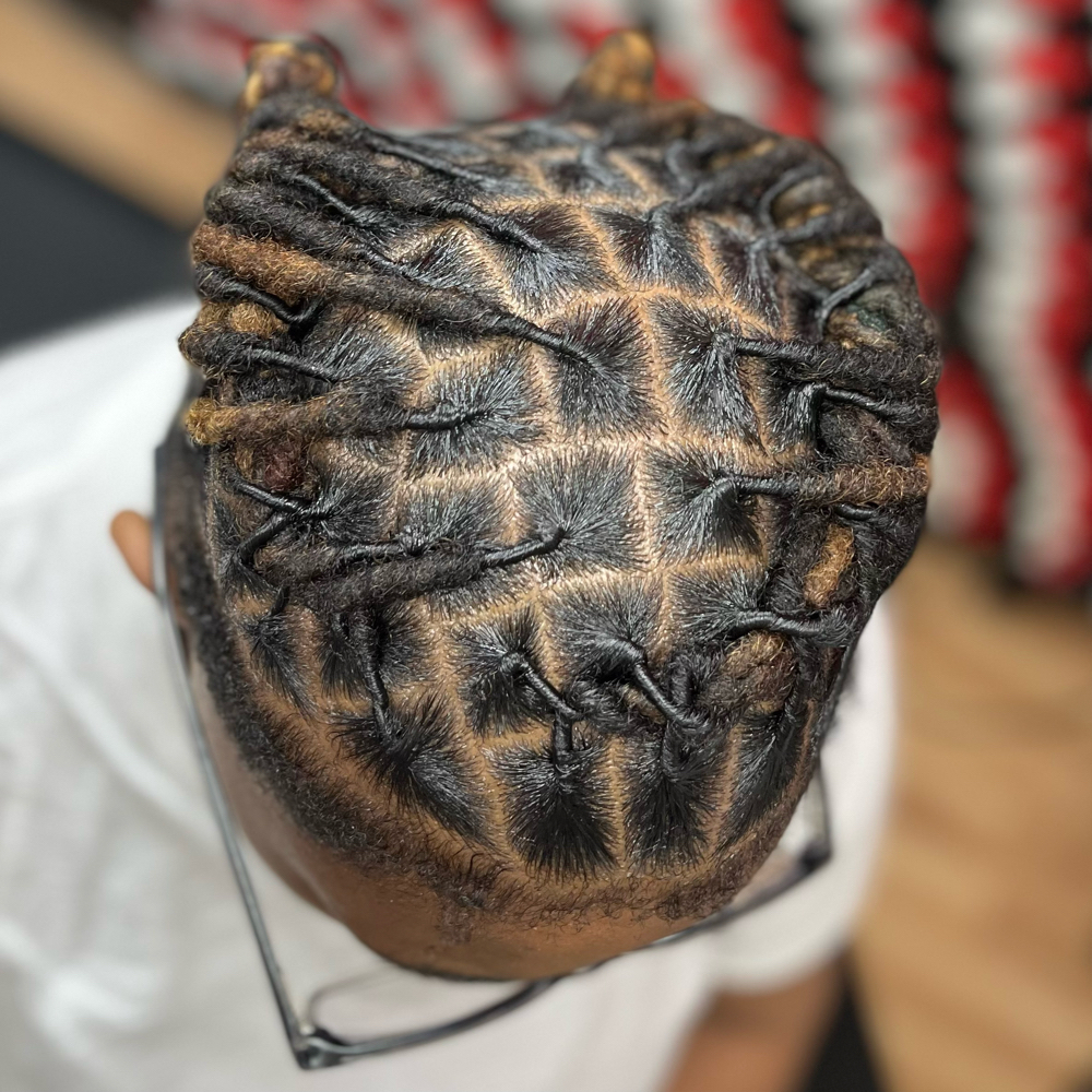Partial Head Retwist & Style