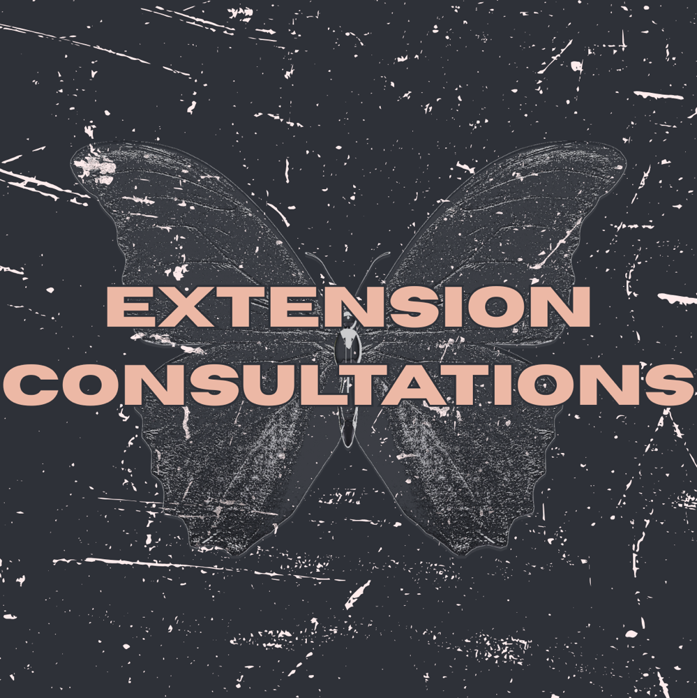 Extension Consultation at Out Of Color Studio in Woodland Hills, CA