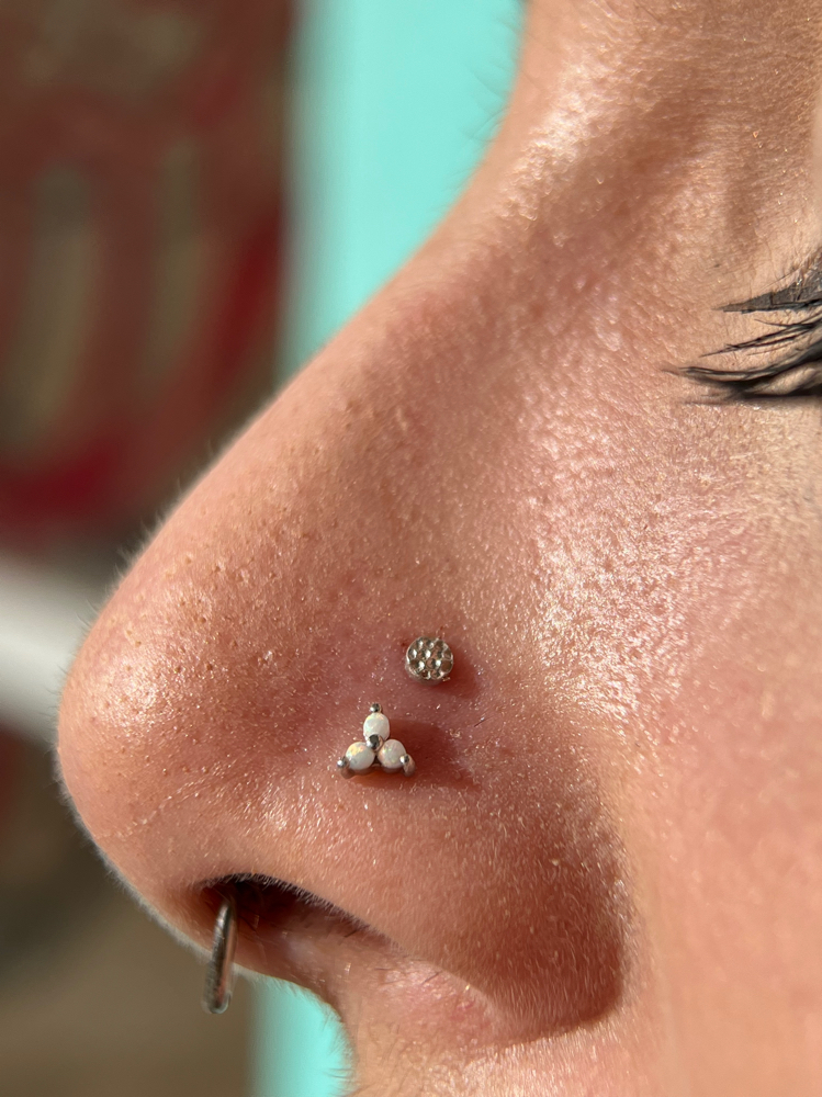 High nostril (single)