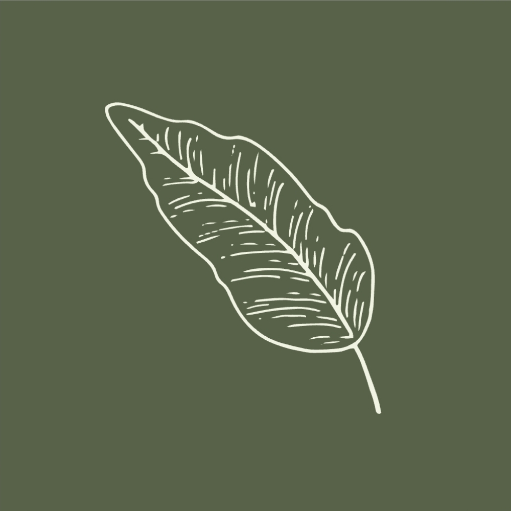 Ultrasonic Cryotherapy Facial at The Skin You're In in Overland Park, KS