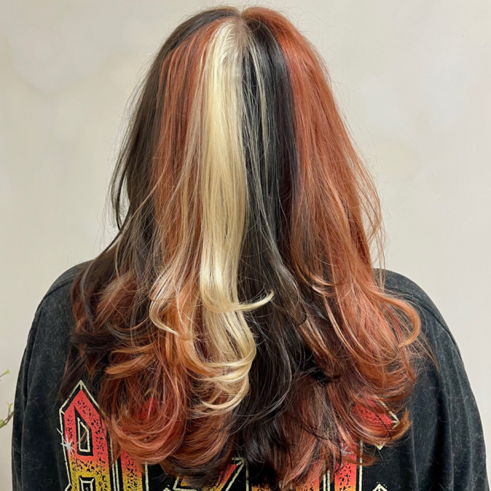 Calico/tri-color at DyeHardCali in Alliance, OH
