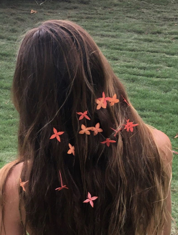 THE SHIMMER • GREY COVERAGE•