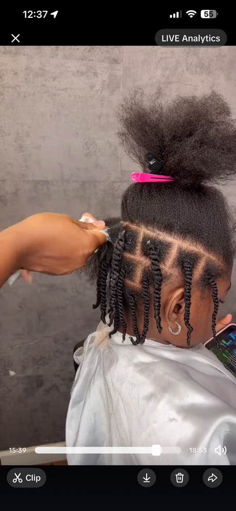 Two Strand Twists