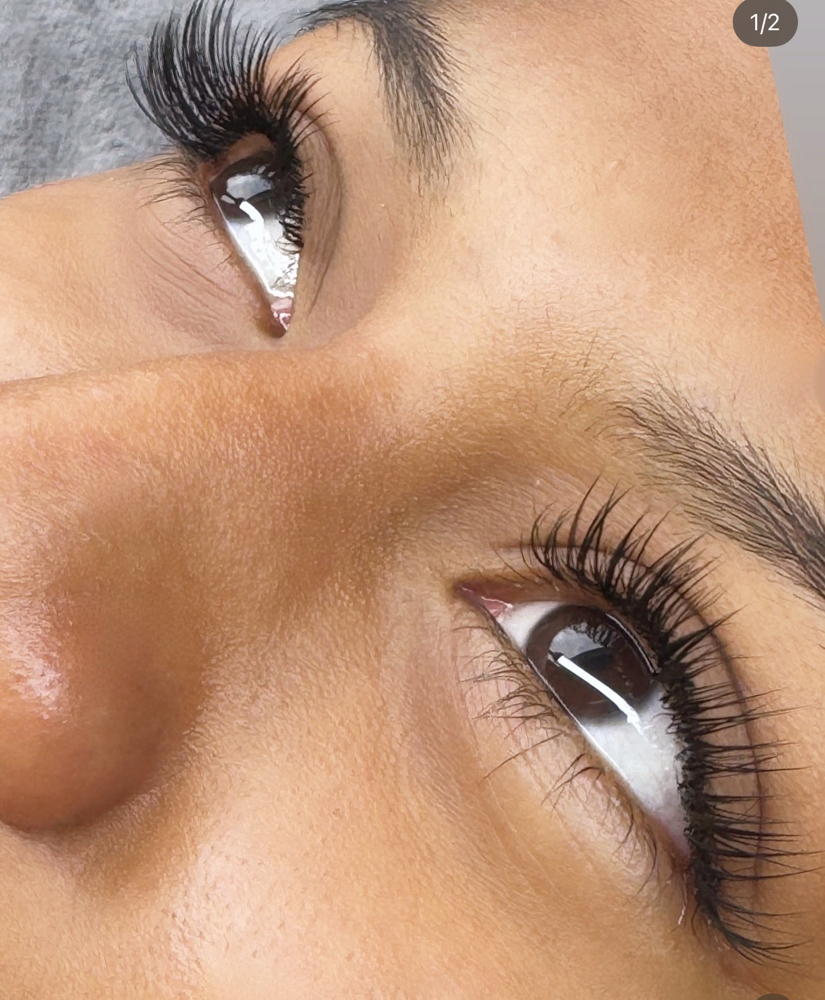 Classic Lashes
