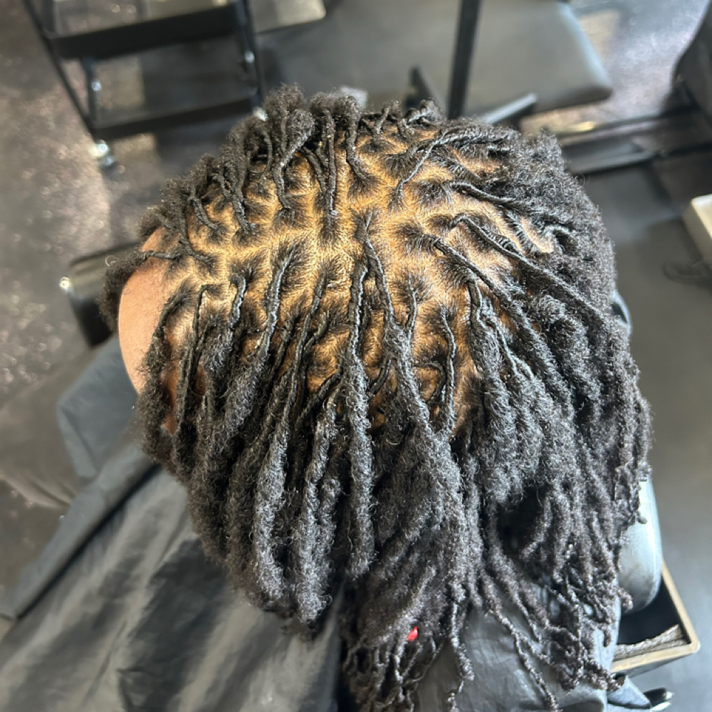 Retwist at The Dream Beauty Bar in Madison Heights, MI