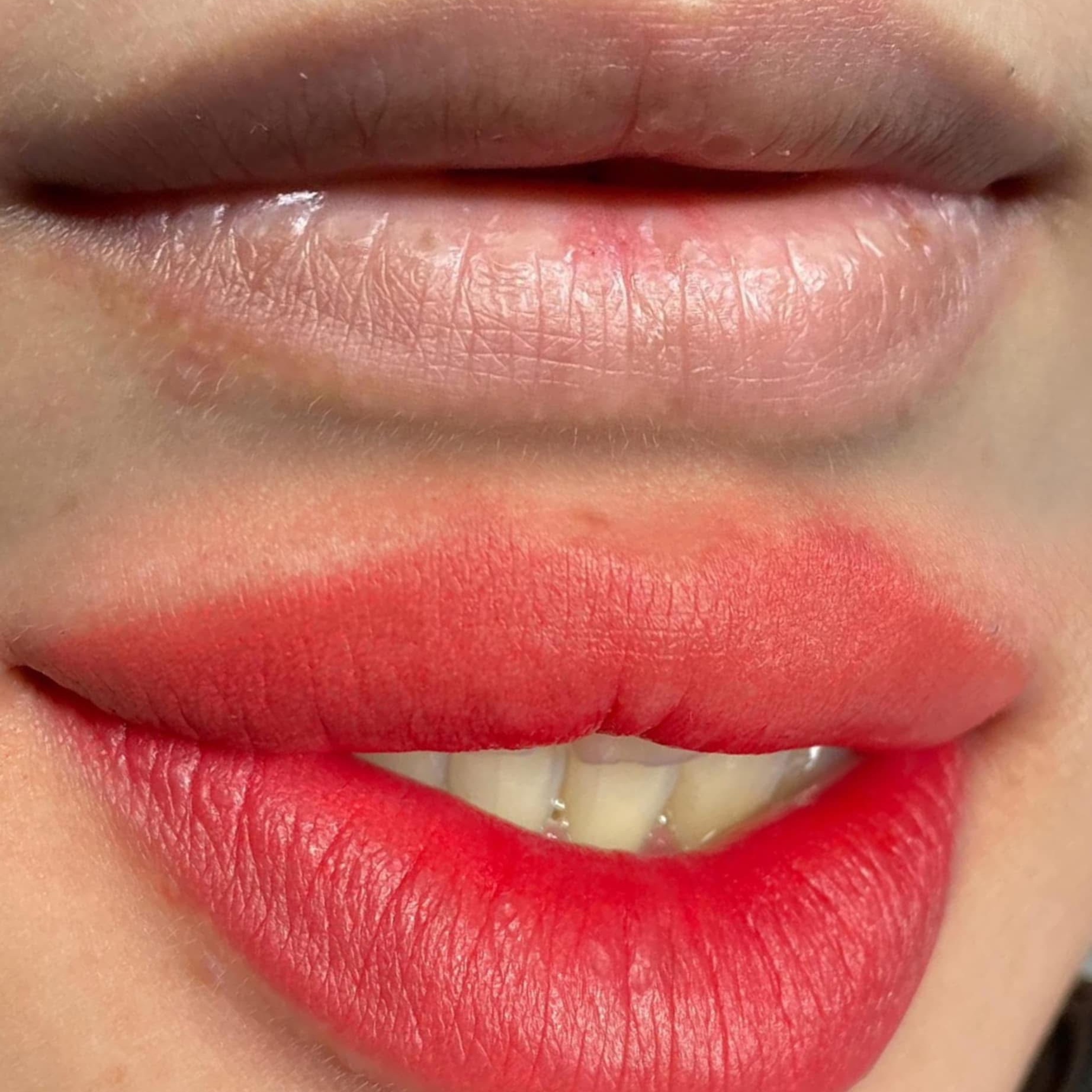 Lip Blush (1 Touch Up Included) at Rose Beauty 9999 in Santa Clara, CA