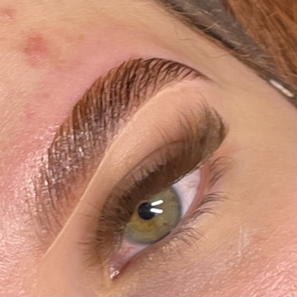 Brow Tint at Gorgeous Lashes by Arlene in Andrews, TX