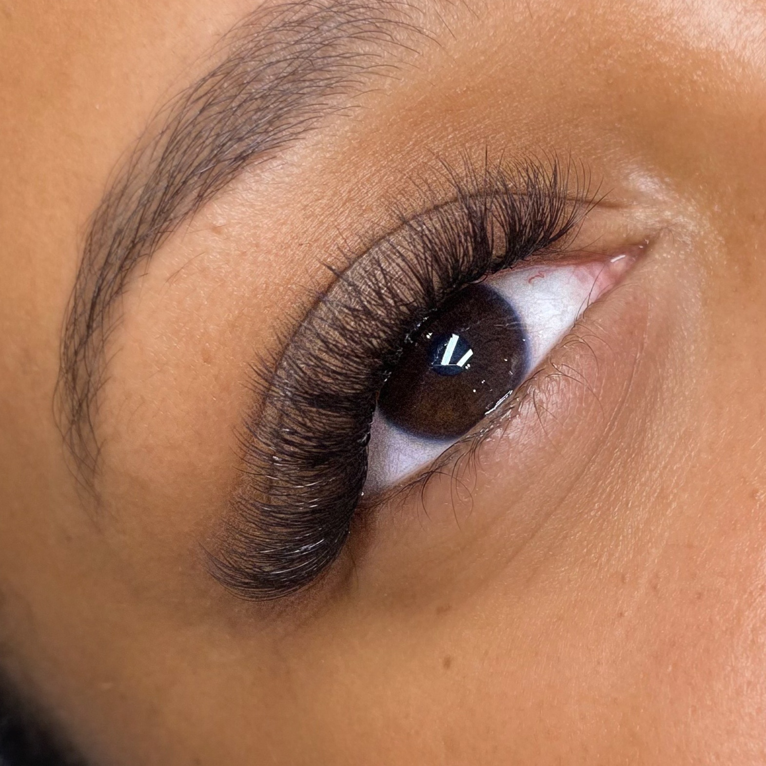 Hybrid Lashes