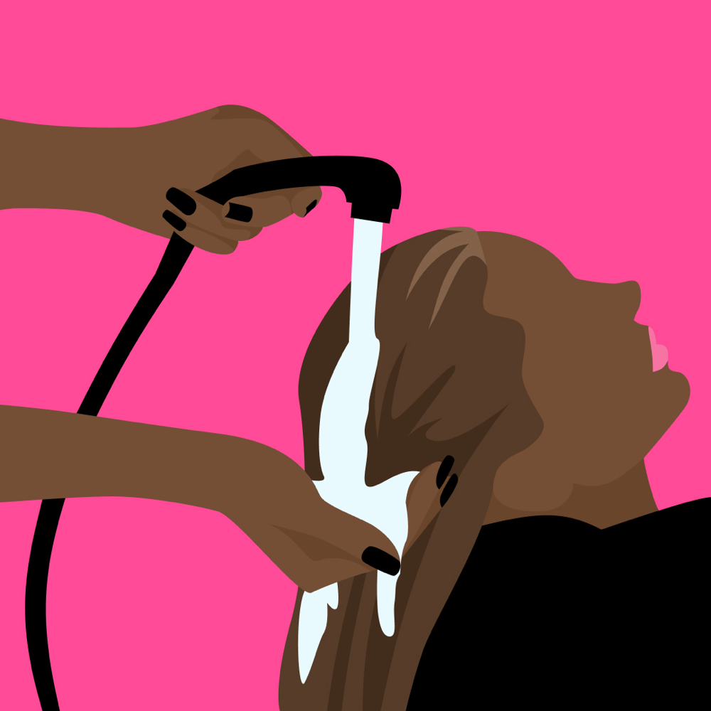 Shampoo/Blow Dry For Braids/Twist