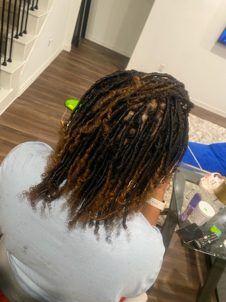 Adult Traditional Starter Locs