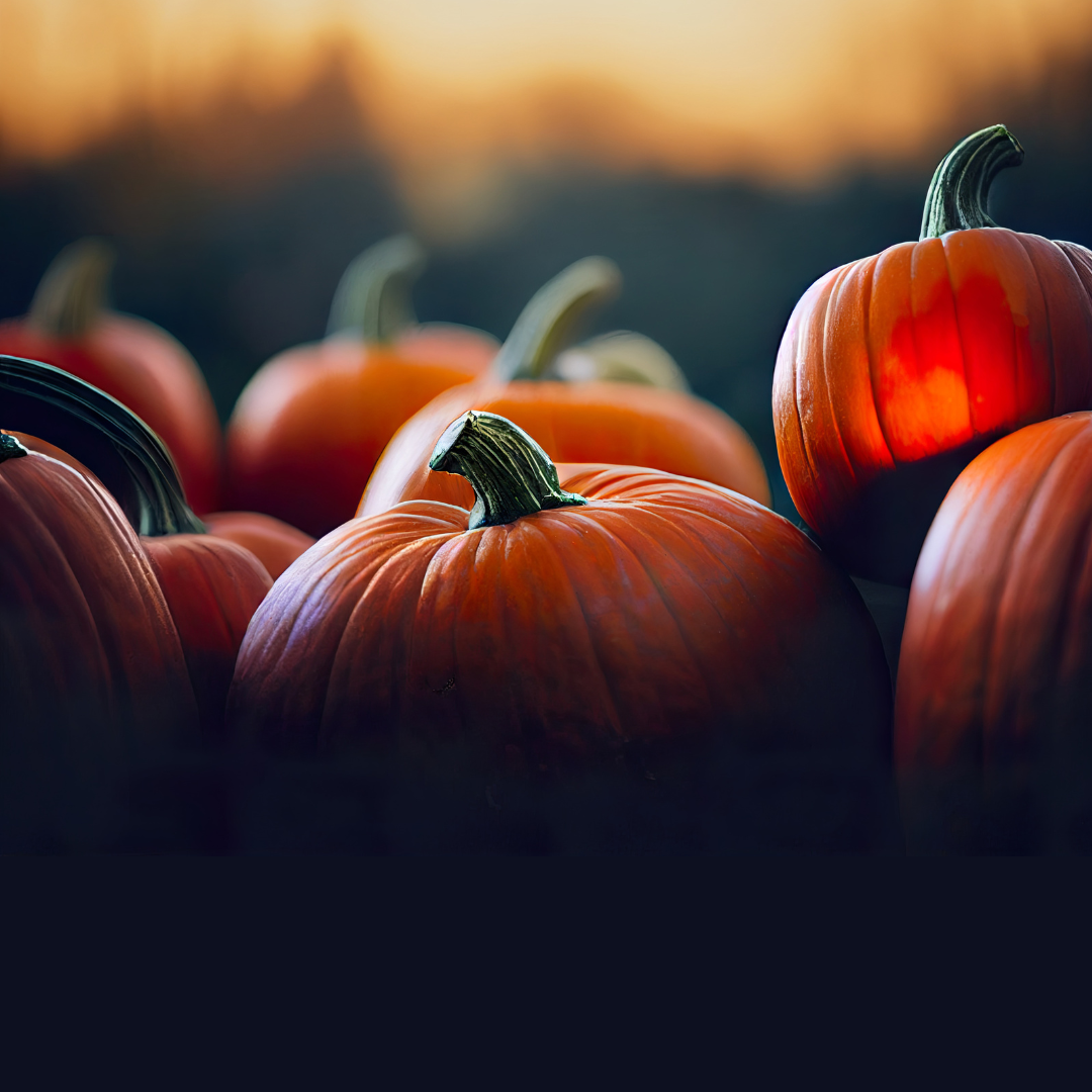 Pumpkin Enzyme