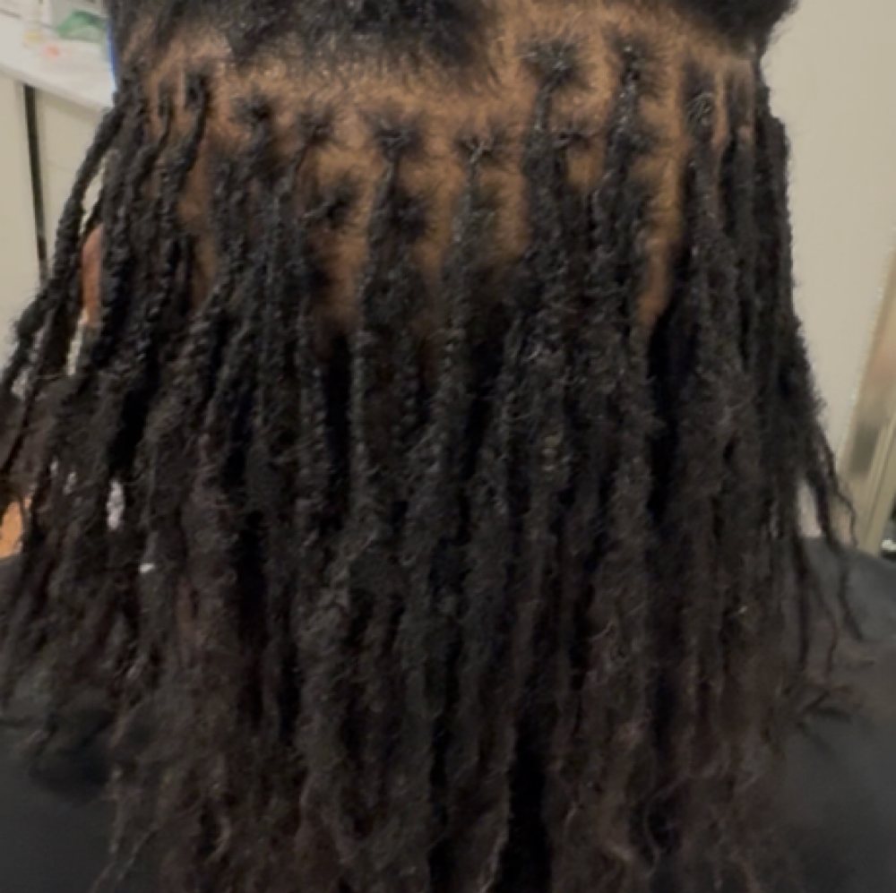 Microloc Retie Service (4-6 WEEKS) at Perfection by Q Beauty Supply & Salon in Bryant, AR
